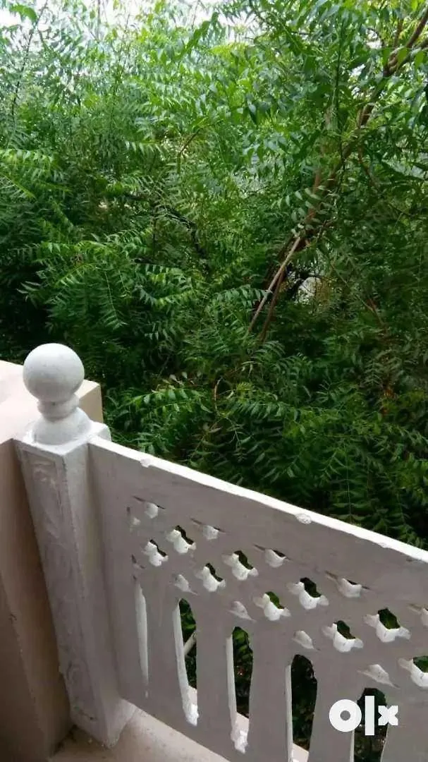 Maharaja Farms Hotel Gurgaon